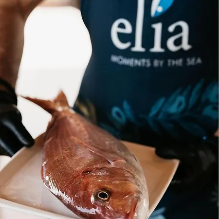 特里克佛公寓 公寓 基拉奇尼