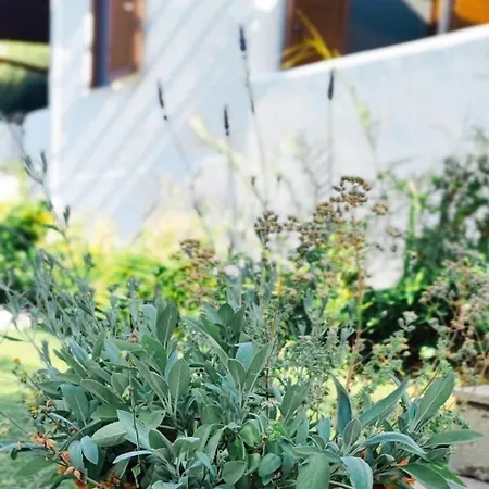 特里克佛公寓 基拉奇尼