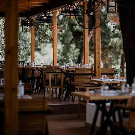 Trikorfo Apartment Gerakini